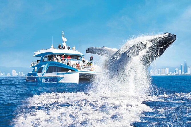 1.5 hr Jet Ski Safari tour to South Stradbroke Island! - Weekend breakfast safaris