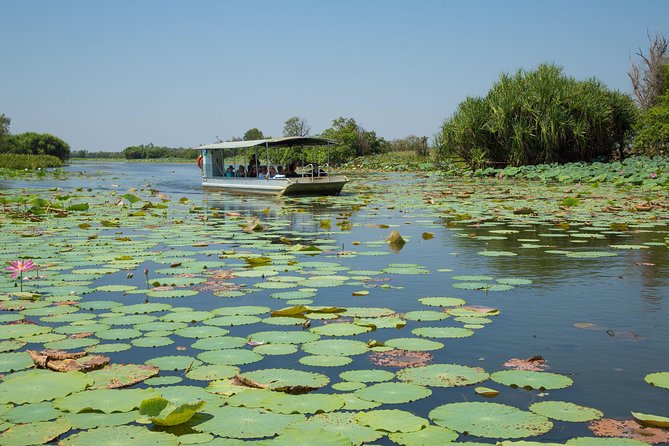1 Day Corroboree Billabong Wetland Experience including 2.5 hour cruise + lunch - Why Corroboree Billabong is worth the day