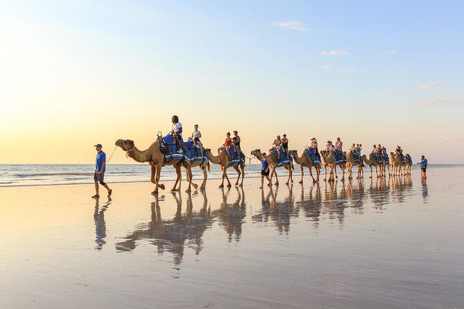 1 Hour Broome Sunset Camel Tour - What the $125 price gets you