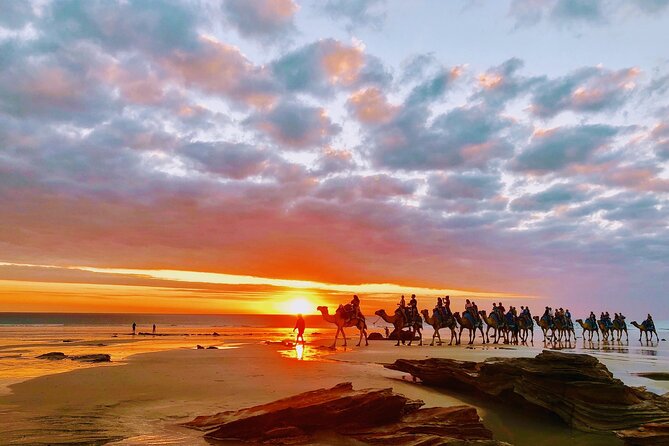 1 Hour Broome Sunset Camel Tour - Who will enjoy this most