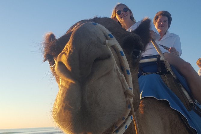 1 Hour Broome Sunset Camel Tour - How to make the evening go smoothly