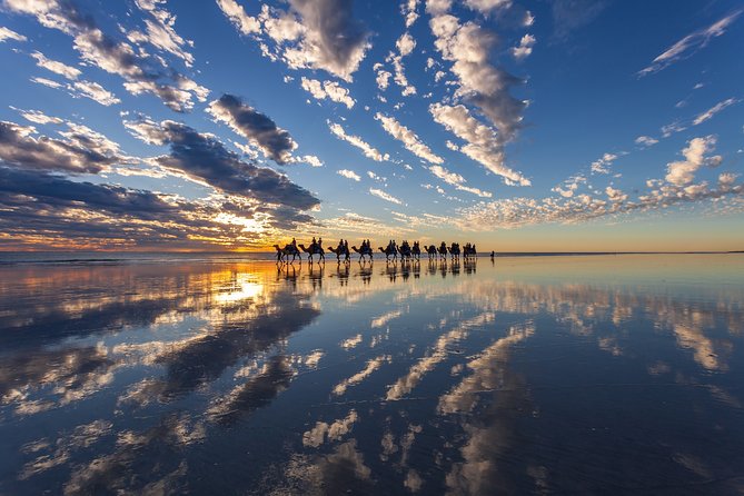 1 Hour Broome Sunset Camel Tour - What happens during the one-hour ride