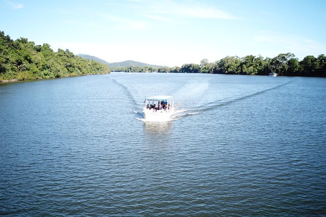 1-Hour Daintree River wildlife cruise - Comparing the value at $25.10
