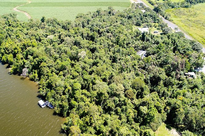 1-Hour Daintree River wildlife cruise - Booking timing and cancellation details