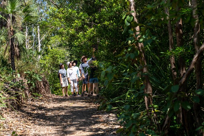 1 Hour Jumping Crocodile Cruise on the Adelaide River - The guides, jokes, and animal explanations