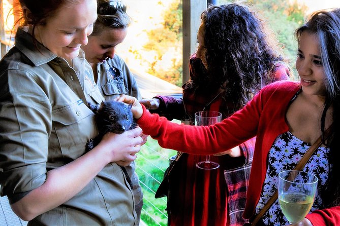 1-Hour Tasmanian Devil Feeding Day Tour at Cradle Mountain - Use the all-day admission to slow down
