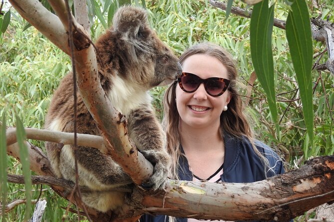 10-Day Adelaide to Perth Adventure Tour - Camping, meals, and daily comfort