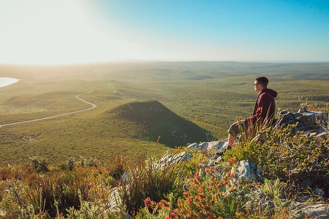10-Day Adelaide to Perth Adventure Tour - Day 3: Sea lions, surf, and remote beaches