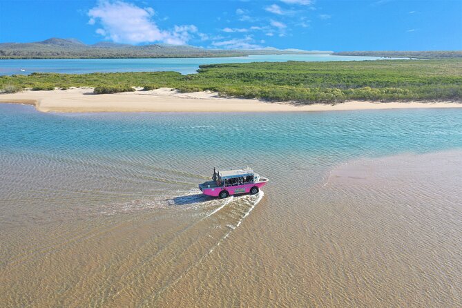 1770 Coastline Tour by LARC Amphibious Vehicle Including Picnic Lunch - Wildlife watching on a short coastal route