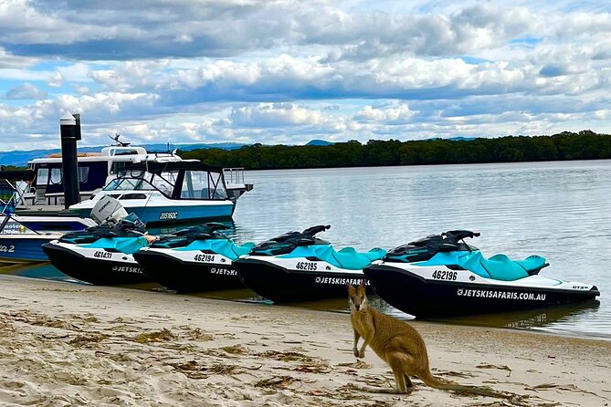 1hr Jet Ski Safari - Safety, weather, and the fine print