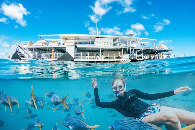 2-Day Great Barrier Reef: Reefsleep Experience - Getting from Airlie Beach to Reefworld