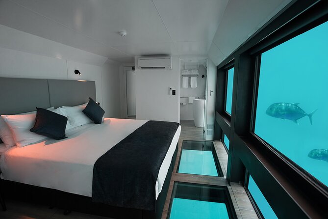 2 Day Great Barrier Reef "Reefsuites" Experience - Hardy Reef gives you a full day of water activities