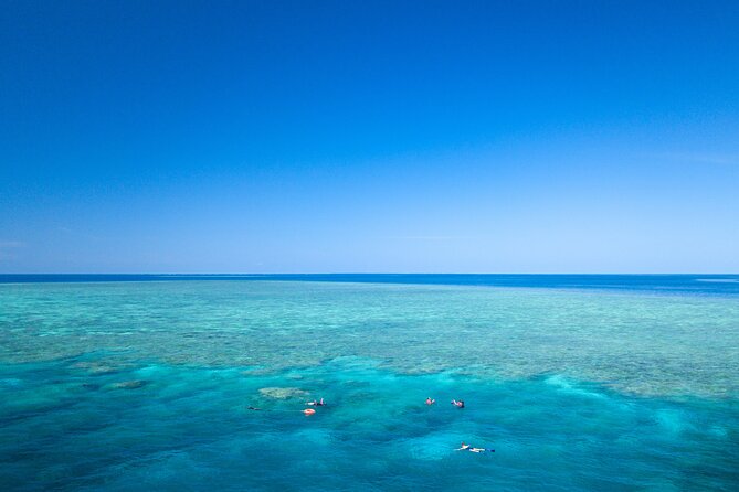 2-Day Snorkelling Experience - Great Barrier Reef Twin Share - Key things to know