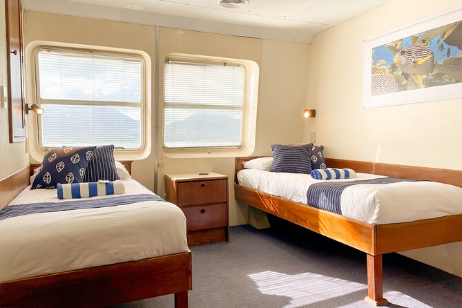 2-Day Snorkelling Experience - Great Barrier Reef Twin Share - Is the trip suitable for a first-time snorkeler?