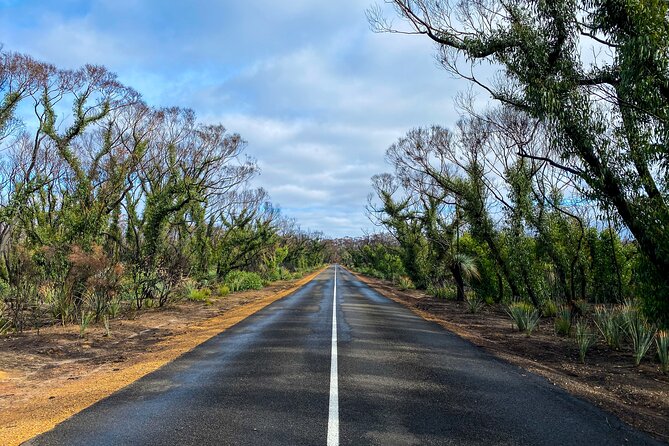 2 day Ultimate Kangaroo Island with return ferry - Guides, vehicles, and the pace of the day