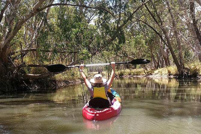 2-Hour Kayaking Experience in Barossa Valley - Warren Reservoir gives the Barossa a quieter side