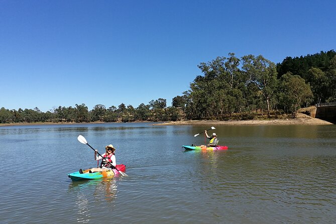 2-Hour Kayaking Experience in Barossa Valley - The small details that improve the outing