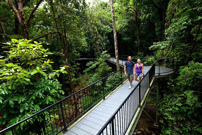 3-Day Best of Cairns Combo: The Daintree Rainforest, Great Barrier Reef, and Kuranda - Day 2: Two reef locations and an introductory scuba session