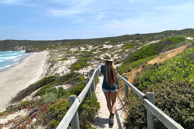 3-Day Kangaroo Island Adventure Tour - Why Kangaroo Island works so well as a three-day trip