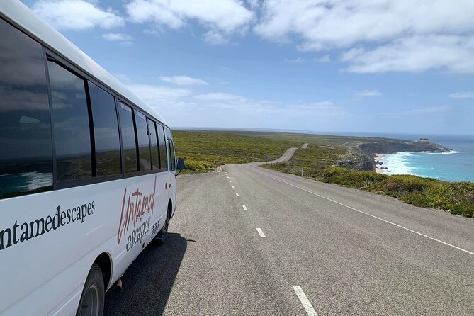 3-Day Kangaroo Island Adventure Tour - The optional wild dolphin or seal swim