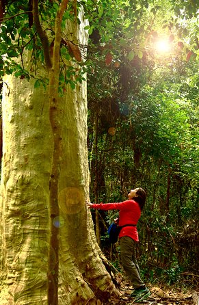 3 Day Murramarang Coast Journey from Batemans Bay with Meals and Villa Accom - Who should book this Murramarang walk?