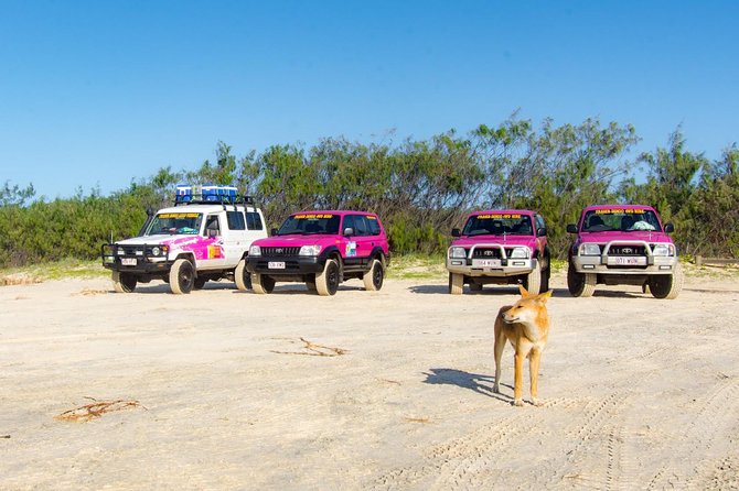 3 Day PINK4WD Tagalong Tour - K'gari/Fraser Island - Crossing the island by barge and 4WD