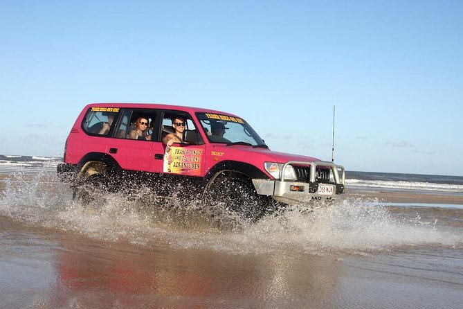 3 Day PINK4WD Tagalong Tour - K'gari/Fraser Island - Pile Valley and the island rainforest