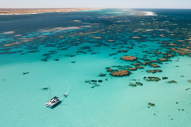 3 Night Ningaloo Reef Snorkel and Dive Getaway from Coral Bay - Day 2: Coral gardens, turtles, and repeated water time