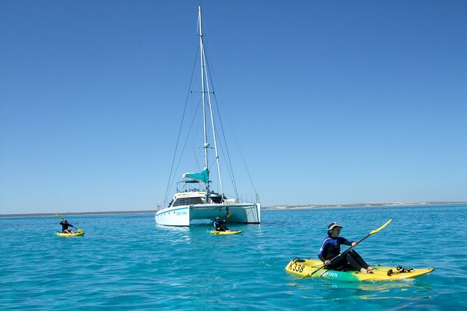 3 Night Ningaloo Reef Snorkel and Dive Getaway from Coral Bay - Day 4: Manta ray country near Coral Bay
