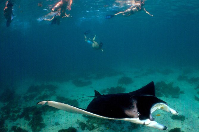 3 Night Ningaloo Reef Snorkel and Dive Getaway from Coral Bay - Life aboard Shore Thing
