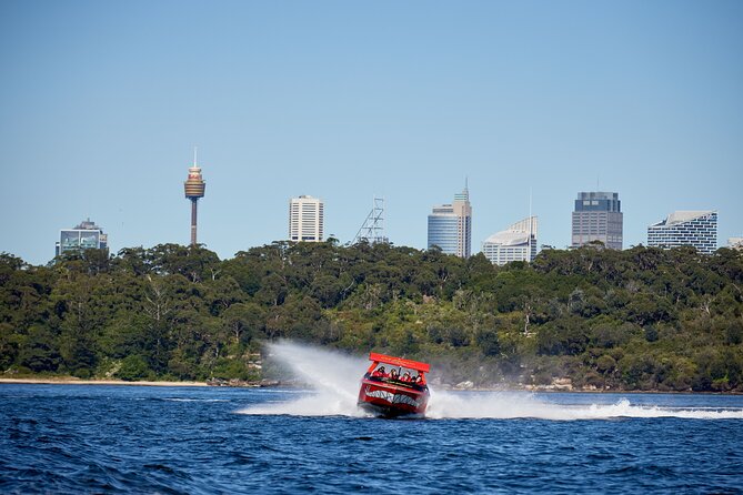 30-Minute Sydney Harbour Jet Boat Thrill Ride - Safety, age limits, and physical demands