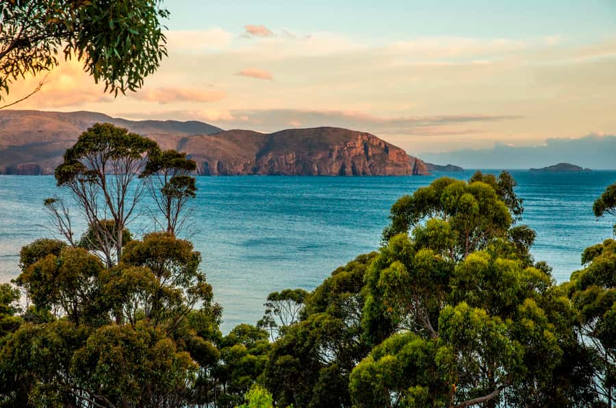 3D Tasmanian Highlights: Hobart, Port Arthur & Bruny Island - What the $322 price really covers