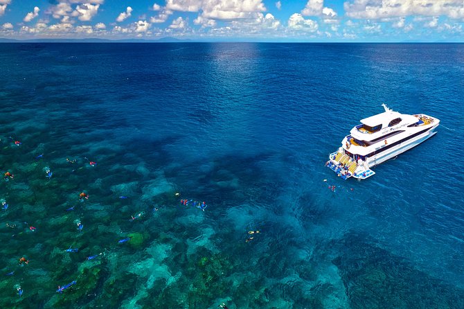 4-Day PADI Open Water Dive Course - Learn to Dive on the Great Barrier Reef - What the PADI certificate allows you to do