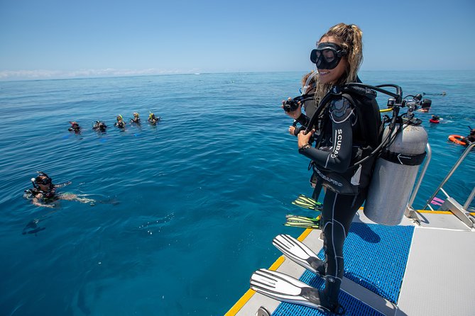 4-Day PADI Open Water Dive Course - Learn to Dive on the Great Barrier Reef - Is $677.79 good value?