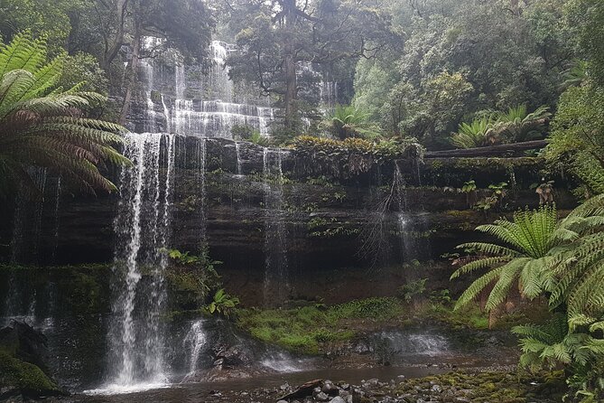 4 Day Wild Tasmania Tour / Wildlife, Nature, Hiking / Inc. Accom - How hard is the walking?