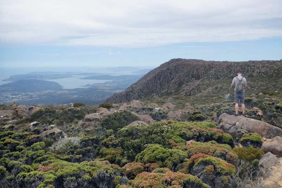 48-Hour Hobart City Loop Tour and Mt Wellington - Choosing between the direct summit ride and mountain stops