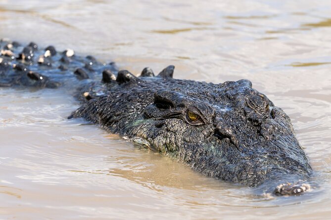 5 Day Kakadu Katherine Gorge Litchfield 4WD Camping Adventure - Key points to know before booking