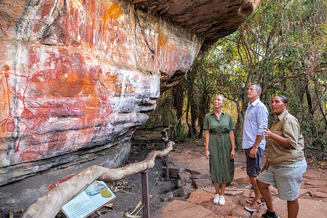 5 Day Kakadu Katherine Gorge Litchfield 4WD Camping Adventure - Day five: termite mounds, rockholes and the return to Darwin