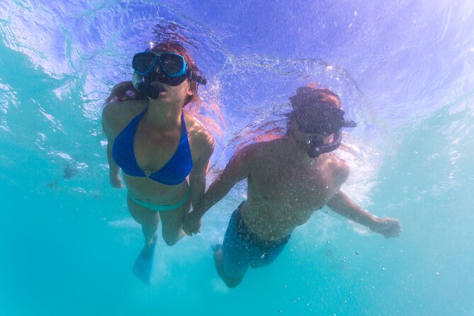 6-Day Coral Coaster from Perth to Exmouth One-Way via Monkey Mia Ningaloo Reef - What the $1,183.45 price really covers