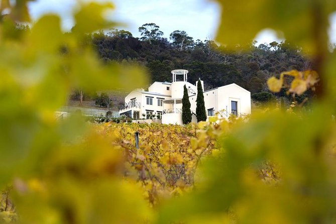 7- 8 Hour StelaVino Guided Wine Tours From Hobart, Tasmania - Why this southern Tasmania wine day works