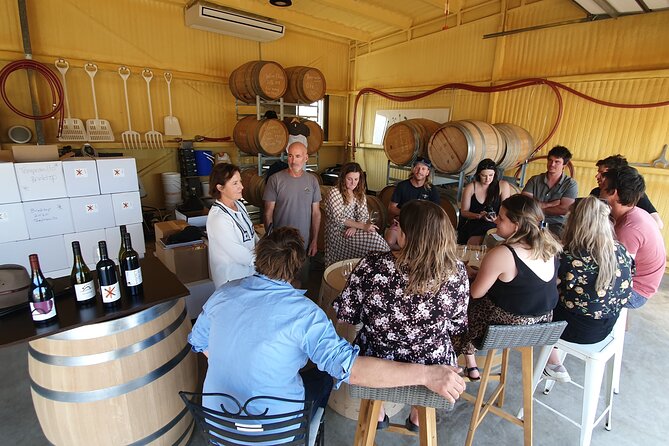 7- 8 Hour StelaVino Guided Wine Tours From Hobart, Tasmania - What the $132.69 price really covers