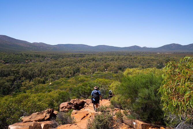 7 Day Uluru to Adelaide Cultural and Adventure Tour - Day 7: Arkaroo Rock, Quorn, and the road to Adelaide