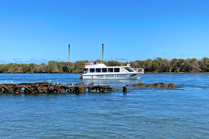 90 Minute Port River Dolphin & Ships Graveyard Cruise - Searching for dolphins in the sanctuary
