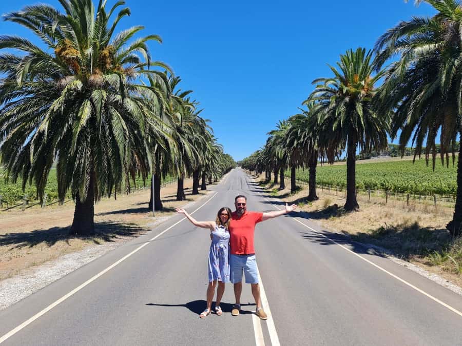 A Barossa Valley pickup: Wine and Heritage Tour, Local Guide - Cellar doors with room for conversation