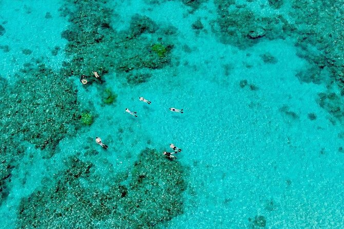 ABC Reef Safaris - Price and the question of value