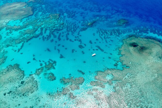 ABC Reef Safaris - Who should book ABC Reef Safaris