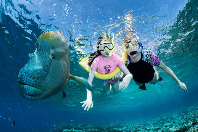 ABC Reef Safaris - The ride from Port Douglas to the outer reef