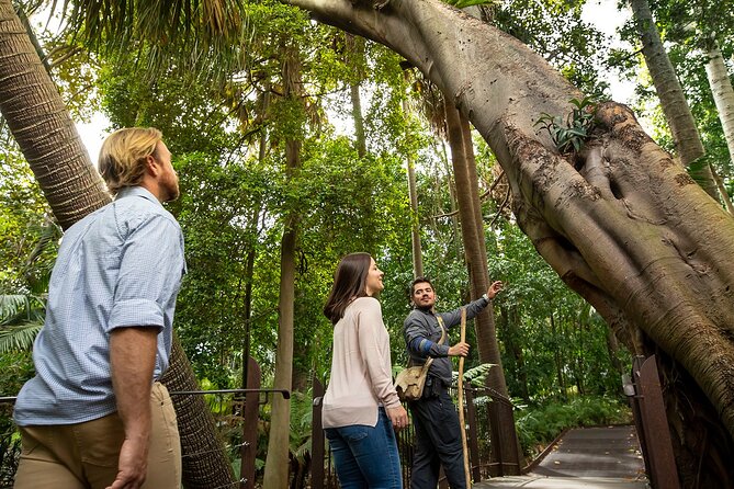 Aboriginal Heritage Walk - Royal Botanic Gardens Victoria, Melbourne Gardens - Why this short walk changes the gardens