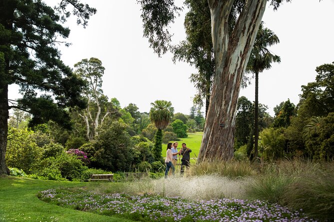 Aboriginal Heritage Walk - Royal Botanic Gardens Victoria, Melbourne Gardens - How much value do you get for $30.51?