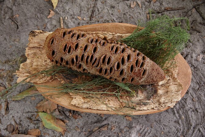 Aboriginal Heritage Walk - Royal Botanic Gardens Victoria, Melbourne Gardens - Who will enjoy this experience most?